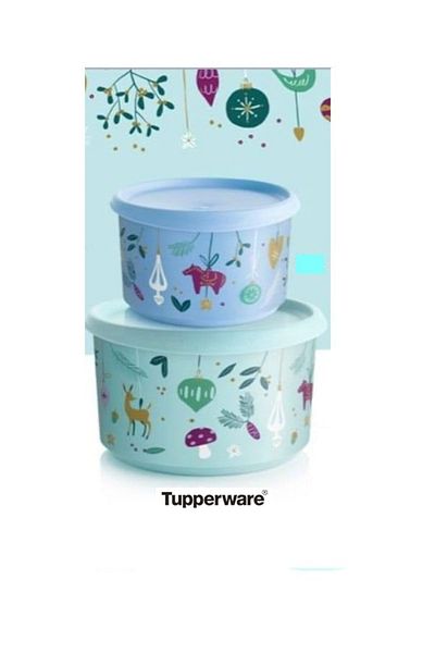 Tupperware One Touch New Year's 2-Piece Storage Container