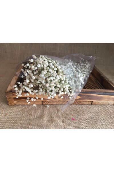 Yumak Dekor Grup Doğal Kuru Çiçek Kurutulmuş Cipso Otu