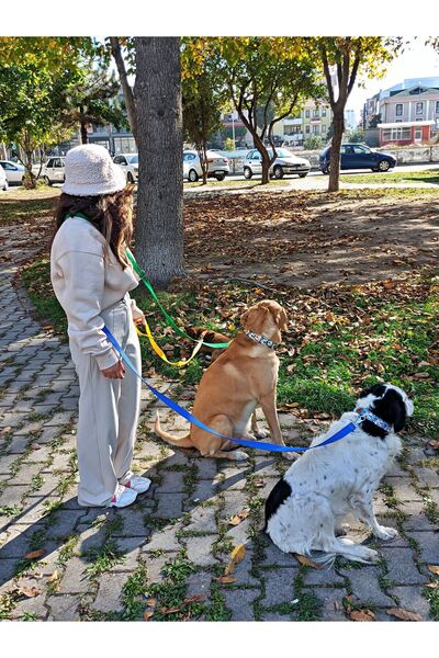 UTDpet Dispatch Standard - Strap Hands Free