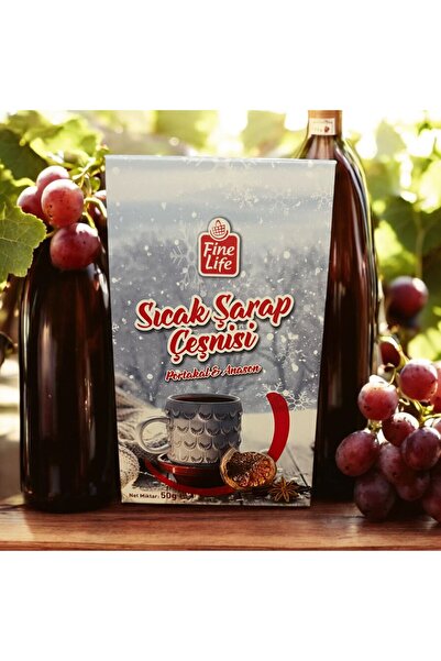 Fine Life Pro Fine Life Sıcak Şarap Çeşnisi Portakal &anason