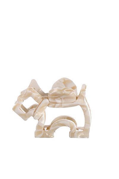 New Obsessions Μίνι αγκράφα πολυτελείας από ακετάτη με μανταλάκια σε σχήμα σκ...