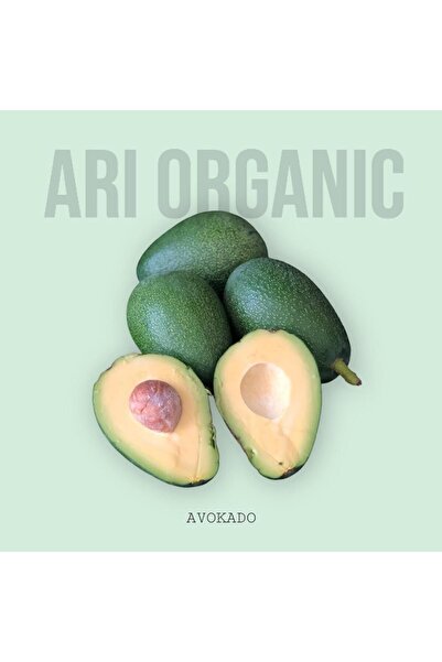 ARI ORGANIC Fuerte Avokado 10 Adet (200gr ve üzeri Büyük boy)