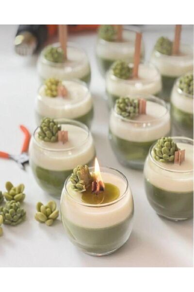 derincandle Çift Renk Ahşap Fitilli Sukulent Bardak Mum