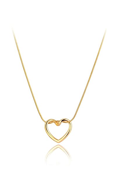 stainles steel قلادة قلب بعقدة فولاذية 316L