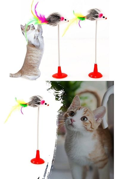Ardinyo 20 Cm Colorful Cat Toy and Toy with Suction Cup