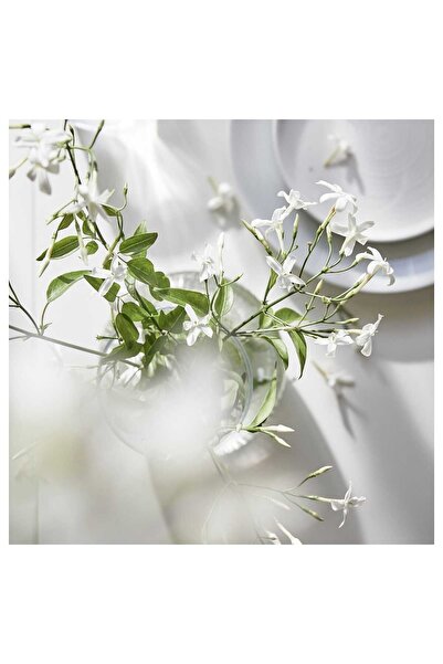 IKEA Lugnare Potpori Kurutulmuş Çiçek 90 gr Pembe Yasemin Zambak Çiçek Buketi