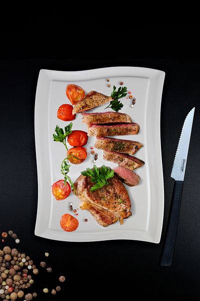Digithome Es 40 Bone Porcelain Presentation Steak Plate