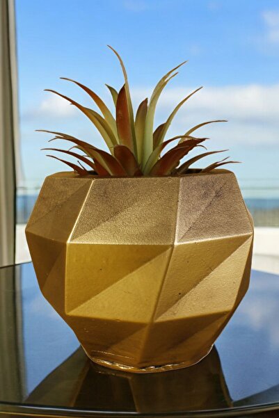 Stein Kohle Çiçek Saksısı Dekoratif Kaktüs Saksı 1 Adet Altın Eskitme Renk Uy...