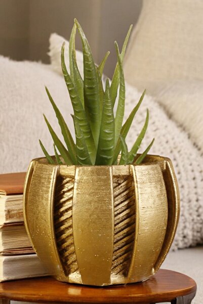 Stein Kohle Dekoratif Saksı Minik Kaktüs Saksısı Altın Renk Model 41