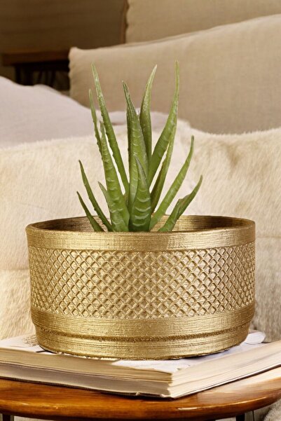 Stein Kohle Dekoratif Saksı Minik Kaktüs Saksısı Altın Renk Model 22