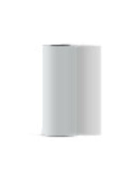 Zestones Dtf Transfer Pet Film 30cm