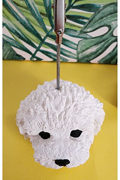 Rota Hediyelik Dog Note Holder, Photo Holder, Cute Note Holder