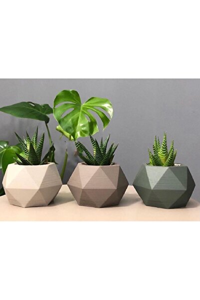 Genel Markalar Beton Saksı Kaktüs ve Skulent Saksı Seti Prizma