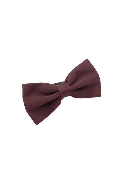 Brianze Satin Bow Tie - Brown Solid Color