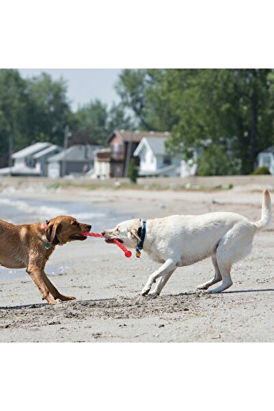 Kong لعبة سيفيستيكس للكلاب من البلاستيك الحراري مقاس 51 سم