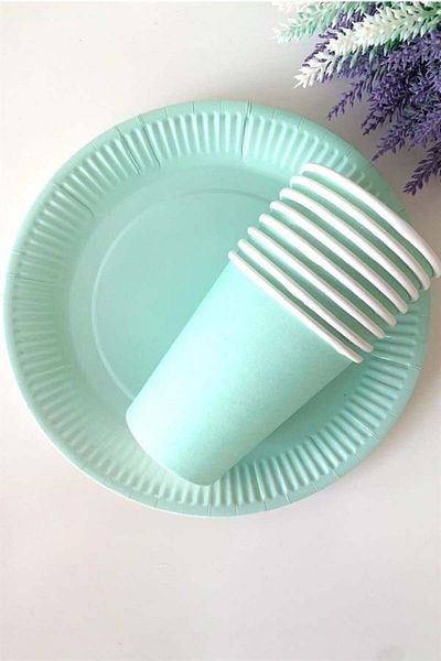Partifabrik Green Macaron Pastel Cardboard Plate Cup Set 8 Pcs