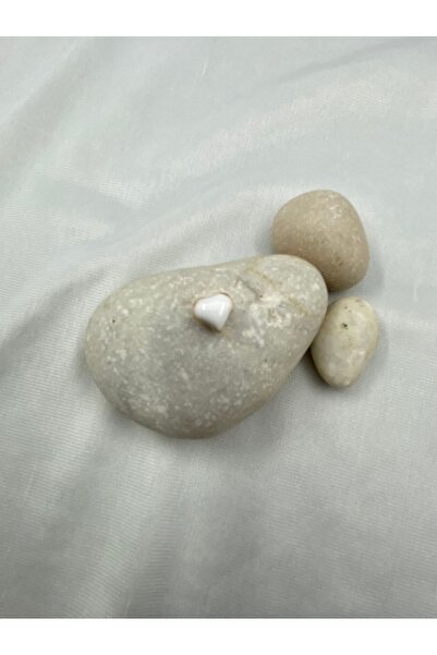 takitokaciniz Gold Kaplama Mineli Kalp Kolye Küpe Aparatı