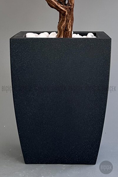 BİÇİÇEK Bonzai gövdeli Pembe Sakura Ağacı 100cm Dış Mekana Uygun