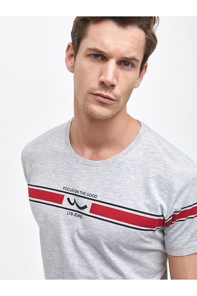 Ltb Gray T-shirt with Logo Stripe