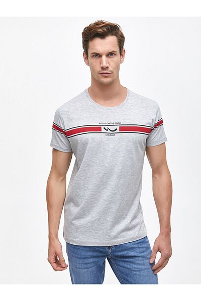 Ltb Gray T-shirt with Logo Stripe
