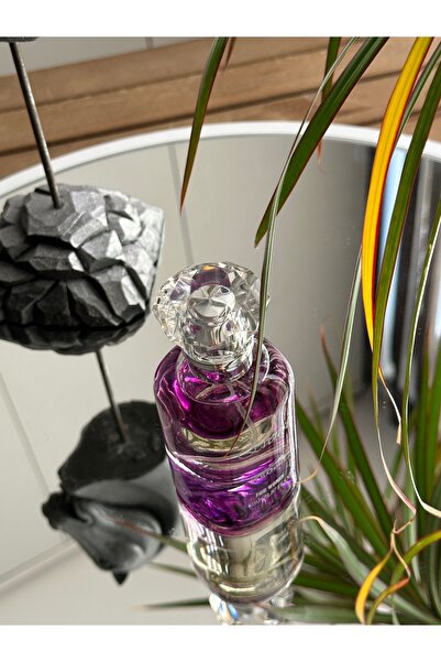 Poloair PlEverest EDP 55 Ml Kadın Parfüm PLP-EVEREST