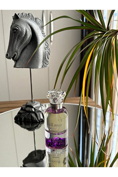 Poloair PlEverest EDP 55 Ml Kadın Parfüm PLP-EVEREST