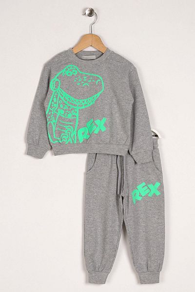zepkids Crew Neck hosszú ujjú krokodil rex nyomott szürke színű fiú kétrészes készlet