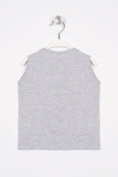 zepkids Boy's T-Shirt - Fishing For Trouble Printed, Gray Melange Color