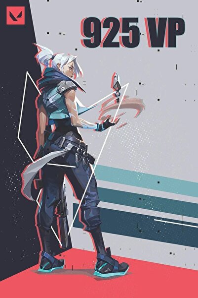 Riot Games 925 VP Valorant Points TR