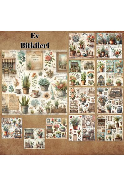 Pink Swan Craft مجموعة ملصقات مخططة لسكرابوك مكونة من 12 قطعة من Vintage House Plants