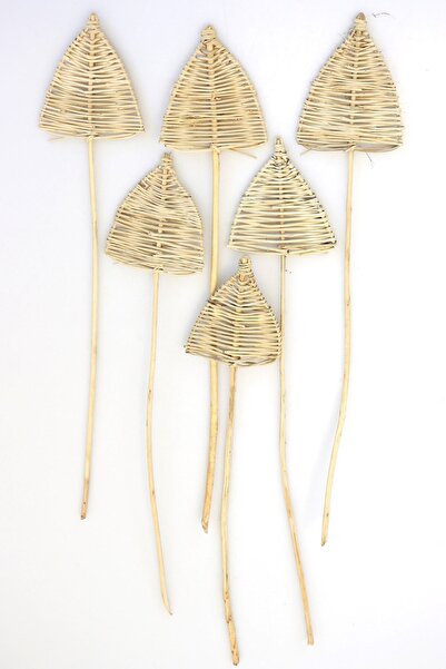Yapay Çiçek Deposu Örme Rattan Lata Spear 6'lı Mızrak Model