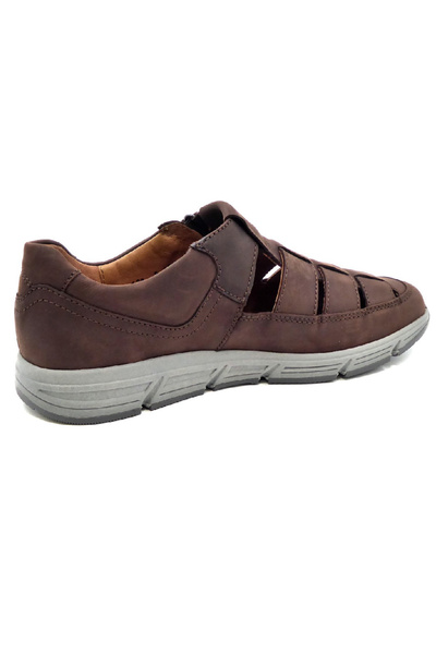 Waldläufer Waldläufer braun