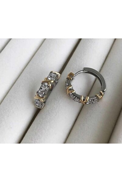 Mychichub Steel X Earrings