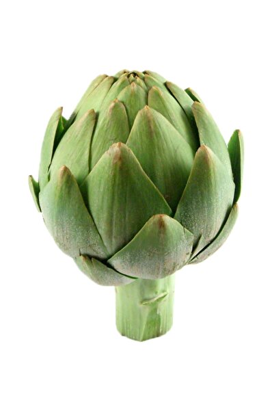 Tohum Dünyası 20+ Adet Yeşil Küre Enginar Tohumu