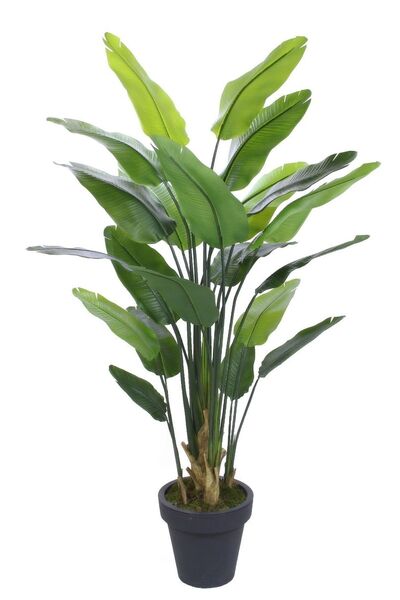 Dekorsende Yapay Tropik Starliçe Ağacı 210 cm