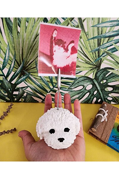 Rota Hediyelik Dog Note Holder, Photo Holder, Cute Note Holder