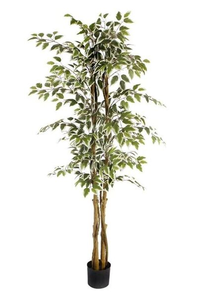 RUZGARCİCEK Rüzgar Yapay Çiçekçilik 150 cm Ficus Ağacı
