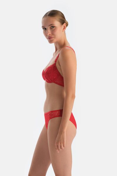 Dagi Kırmızı Pencere Detaylı Dantel Ve Tül Brıef Külot