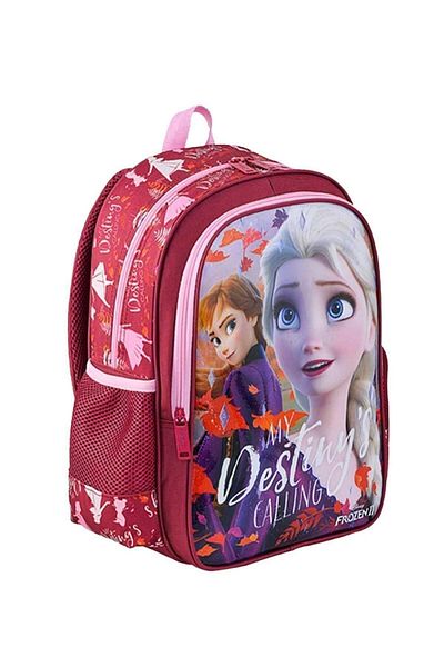 Frozen 48031 Geanta pentru școala primară Hawk My Destiny