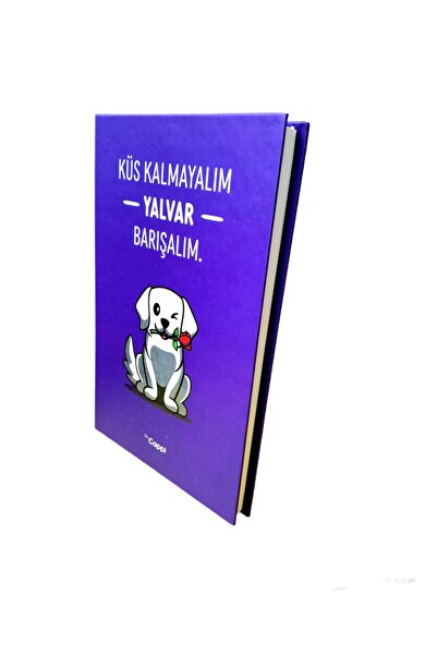 ÇİLEKHOMEAVM Pastelno obojena knjiga uspomena u tvrdom povezu - Sa sekcijama ...