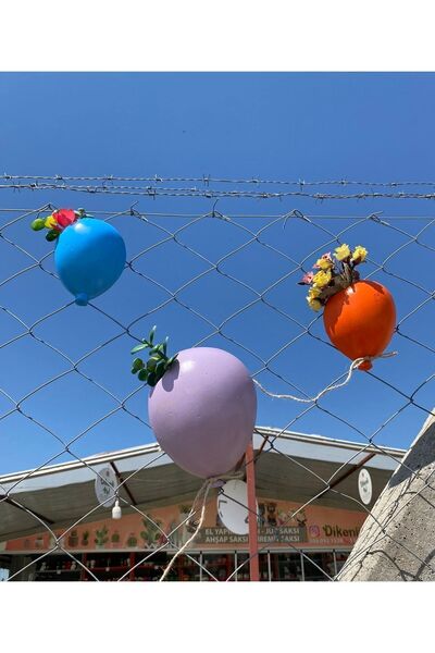 Dikenlitel Balon Saksı Duvar Süsü Özel Tasarım