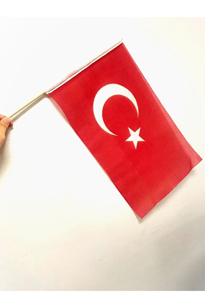 Asyabayrak 10'lu Elde Sallama Türk Bayrağı 20x30