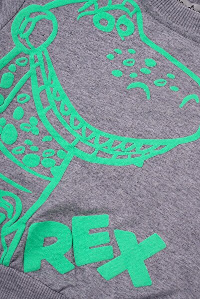 zepkids Crew Neck Long Sleeve Crocodile Rex Printed Gray Color Boy's Two Pieces Set