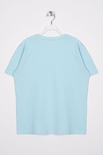 zepkids Crew Neck Short Sleeve Honey Printed Light Blue Color Boy's T-shirt