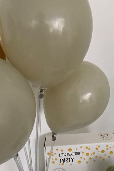 Partifabrik Stone Retro Color Matte Pastel Balloon 10 Pack