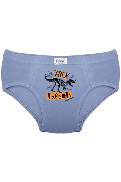 Onurel Pachet de 5 chiloți din lycra cu imprimeu T-Rex pentru băieți