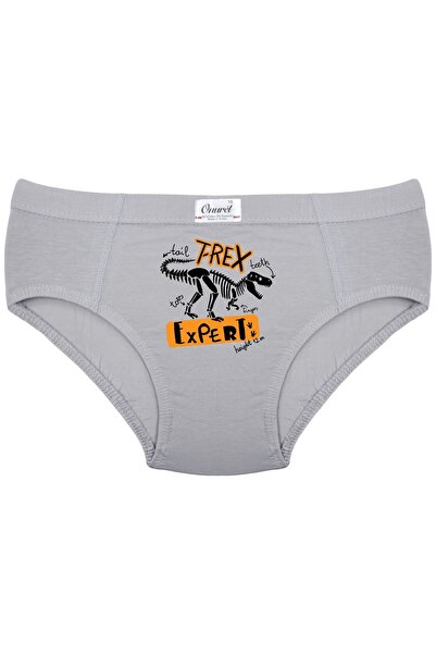 Onurel Erkek Çocuk 5'Li Paket Karışık Renk T-Rex Baskılı Likralı Külot