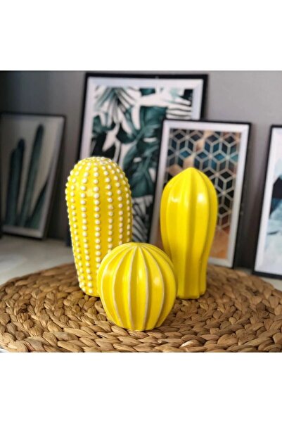 DERDENİX Dekoratif 3'lü Kaktüs Biblo