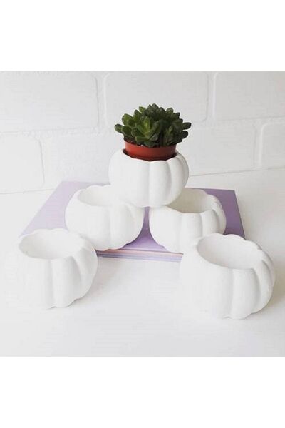 Blue Avm El Yapımı Ham 5'li Kabak Tasarımlı Mini Dekoratif Saksı Seti