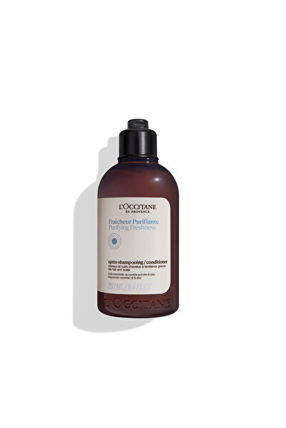 L'Occitane Aromakoloji Arındırıcı & Canlandırıcı Saç Kremi 250 ml